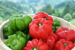 BBQの買い出し！新潟のスーパーではこれを買うべし！【野菜編】