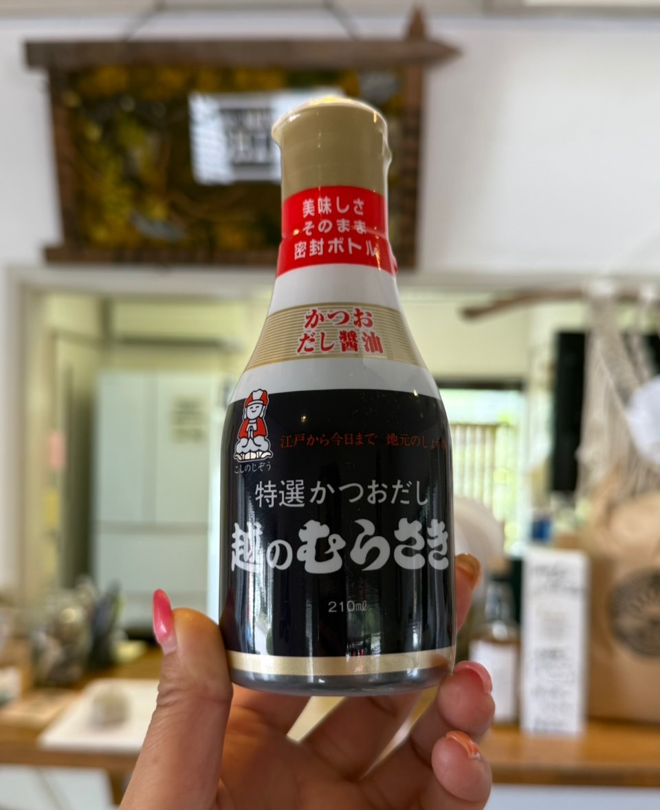 【値下げ】プラサボ 高崎ー長野✕長野ー直江津 2409-okazaki-chomonkyo-omachi-